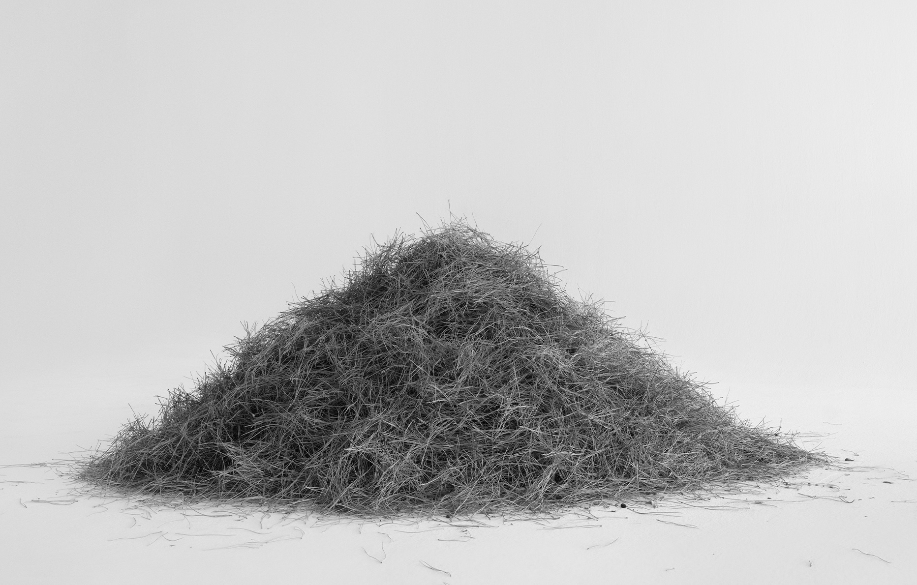 Txema Yeste, Needles, 2019-2024. 