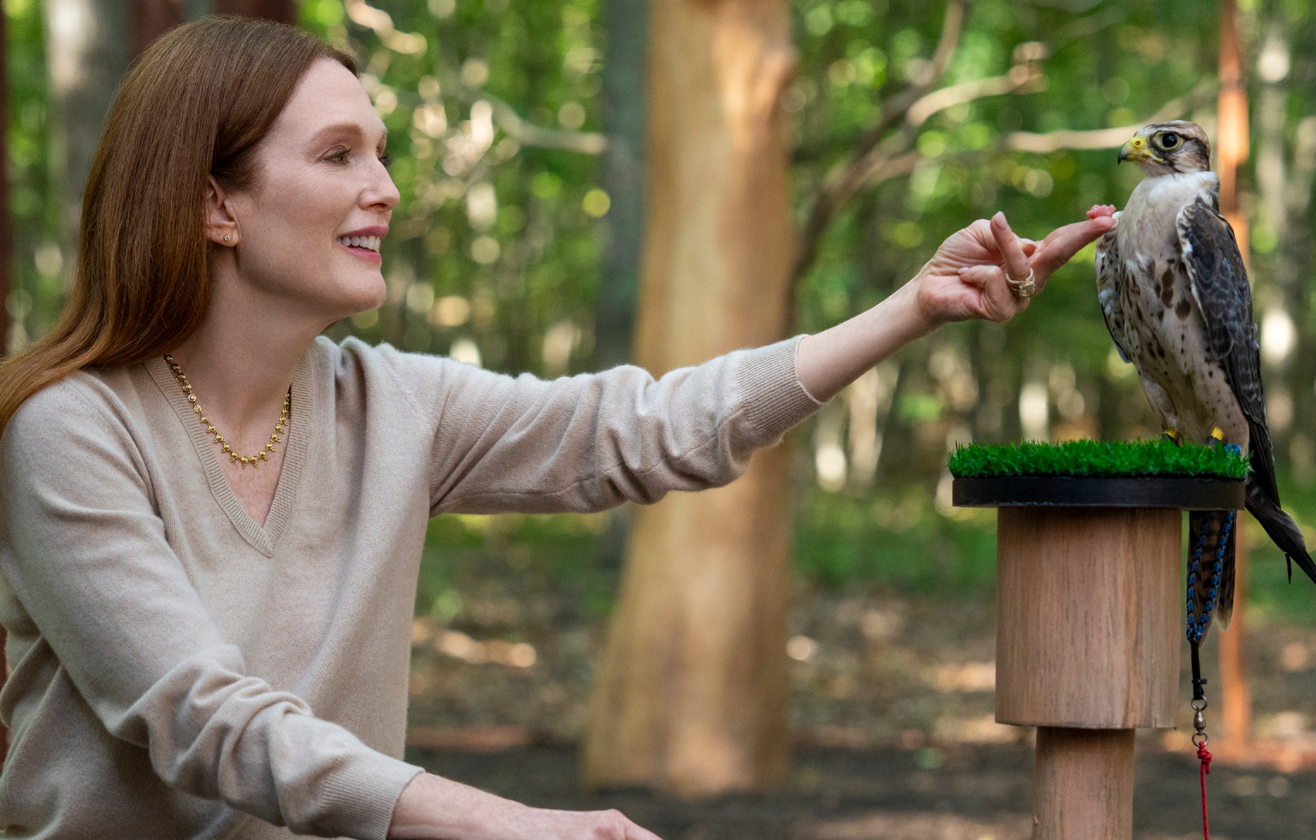 Julianne Moore dans la série Sirens.
